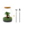 Flaschengarten – Milky mit Bonsai – ↕ 30 cm – Ø 21 cm – Harke + Schaufel