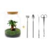 Flaschengarten – Milky mit Bonsai – ↕ 30 cm – Ø 21 cm – Harke + Schaufel + Pinzette