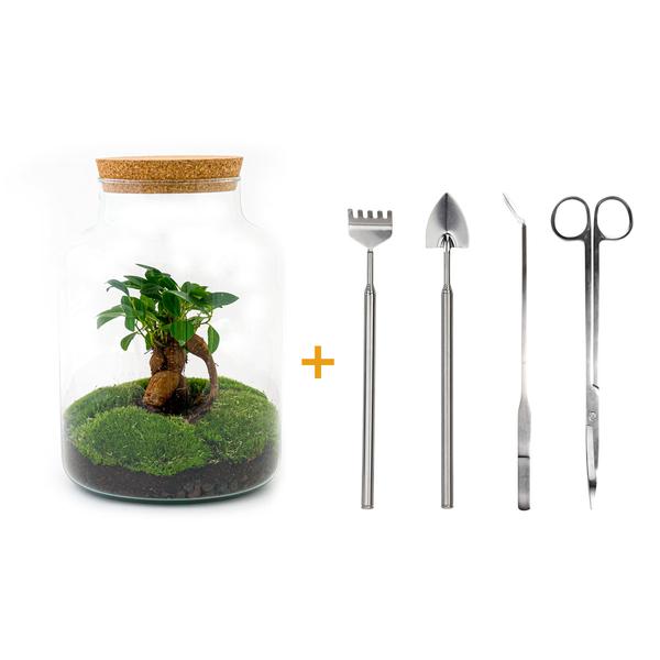 Flaschengarten – Milky mit Bonsai – ↕ 30 cm – Ø 21 cm – Harke + Schaufel + Pinzette