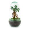 Flaschengarten – Egg Bonsai – ↕ 25 cm – Ø 12 cm