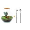 Flaschengarten – Bolder Bob Bonsai – ↕ 30 cm – Ø 31 cm – Rechen + Schaufel