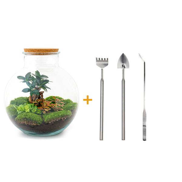 Flaschengarten – Bolder Bob Bonsai – ↕ 30 cm – Ø 31 cm – Rechen + Schaufel + Pinzette