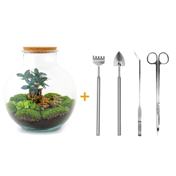 Flaschengarten – Bolder Bob Bonsai – ↕ 30 cm – Ø 31 cm – Rechen + Schaufel + Pinzette + Schere