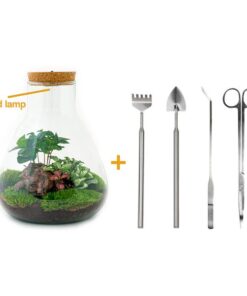 Flaschengarten – Sam mit Lampe – ↕ 30 cm – Ø 24,5 cm – Rechen + Schaufel + Pinzette + Schere