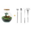 Flaschengarten Set „Teddy Bonsai“ – ↕ 26,5 cm – Ø 25 cm – Pflegeleichtes Terrarium inkl. Rechen, Schaufel, Pinzette & Schere