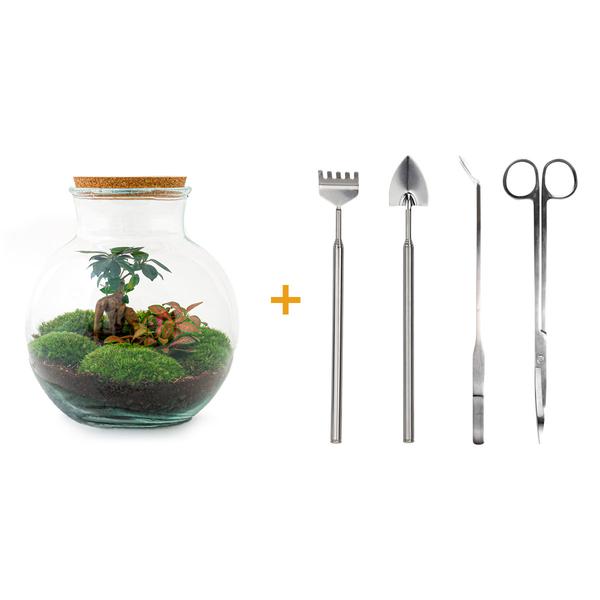 Flaschengarten Set „Teddy Bonsai“ – ↕ 26,5 cm – Ø 25 cm – Pflegeleichtes Terrarium inkl. Rechen, Schaufel, Pinzette & Schere