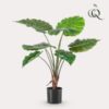 Kunstpflanze – Alocasia – 70 cm