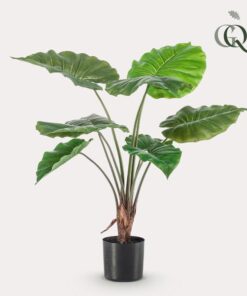 Kunstpflanze – Alocasia – 70 cm