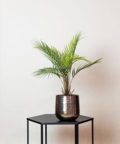 Kunstpflanze – Chamaedorea Elegans- Bergpalme – 50 cm