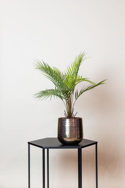 Kunstpflanze – Chamaedorea Elegans- Bergpalme – 50 cm