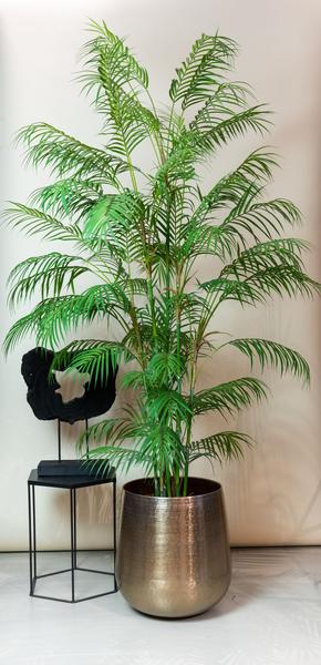 Kunstpflanze – Chamaedorea Elegans – Bergpalme – 180 cm