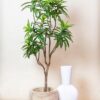 Kunstpflanze – Dracaena – Drachenbaum – 130 cm