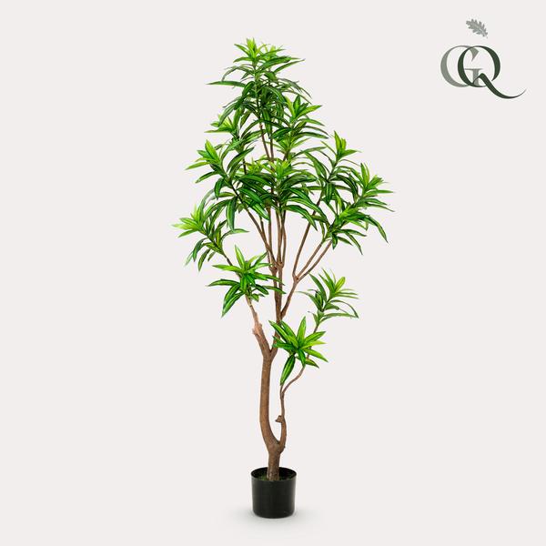 Kunstpflanze – Dracaena – Drachenbaum – 155 cm