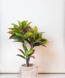 Kunstpflanze – Croton Codiaeum – Wunderstrauch – 100 cm