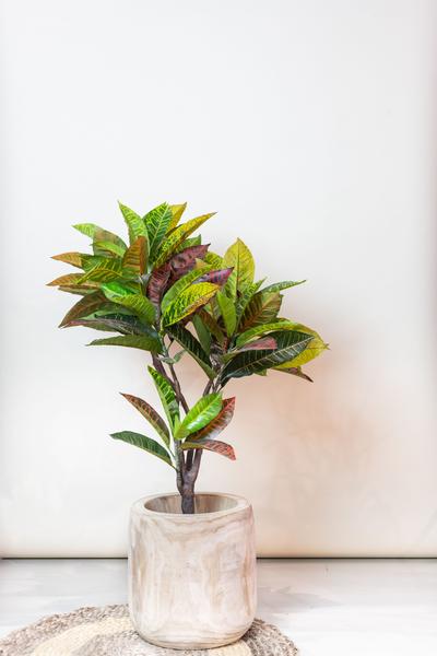 Kunstpflanze – Croton Codiaeum – Wunderstrauch – 100 cm