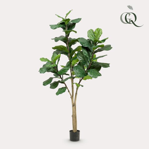 Kunstpflanze – Ficus Lyrata – Tabakspflanze – 180 cm