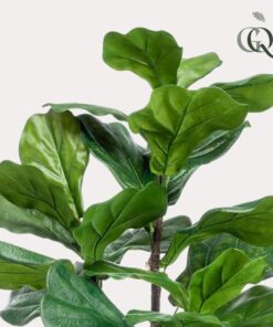 Kunstpflanze – Ficus Lyrata – Tabakspflanze – 100 cm