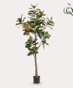 Kunstpflanze – Magnolia Grandiflora – 180 cm