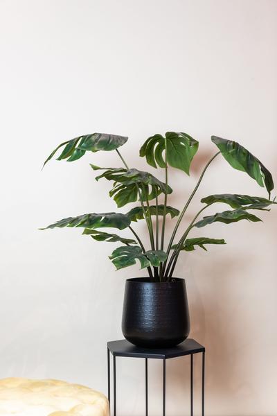 Kunstpflanze – Monstera Deliciosa – Löcherpflanze – 80 cm