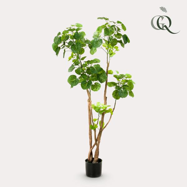 Kunstpflanze – Polyscias – Aralia – 140 cm