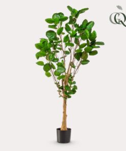 Kunstpflanze – Polyscias – Aralia – 150 cm