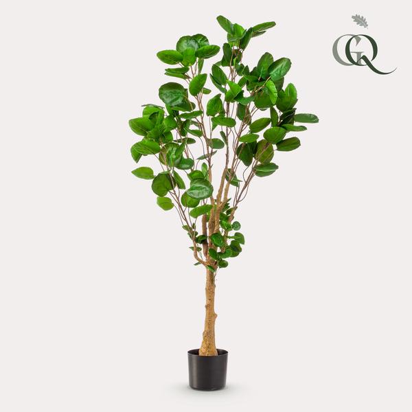 Kunstpflanze – Polyscias – Aralia – 150 cm