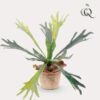 Kunstpflanze – Staghorn Farn – Geweihfarn – 33 cm