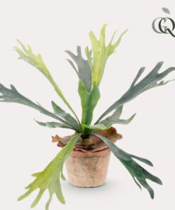 Kunstpflanze – Staghorn Farn – Geweihfarn – 33 cm