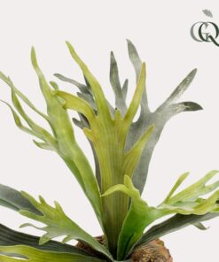 Kunstpflanze – Staghorn Farn – Geweihfarn – 50 cm