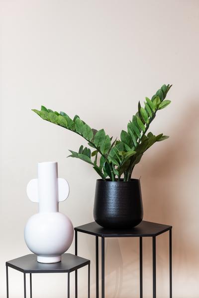 Kunstpflanze – Zamioculcas – Zimmerpalme – 70 cm