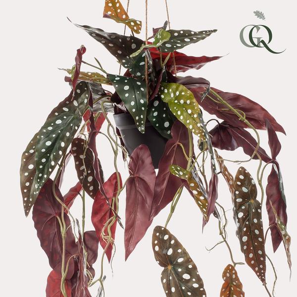 Kunstpflanze – Begonia Maculata – Forellenbegonie – 80 cm