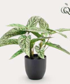 Kunstpflanze – Calathea Dots – 38 cm