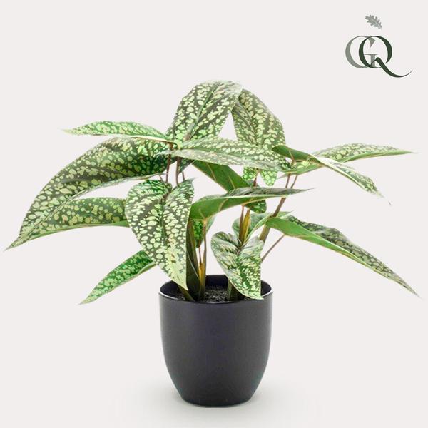 Kunstpflanze – Calathea Dots – 38 cm