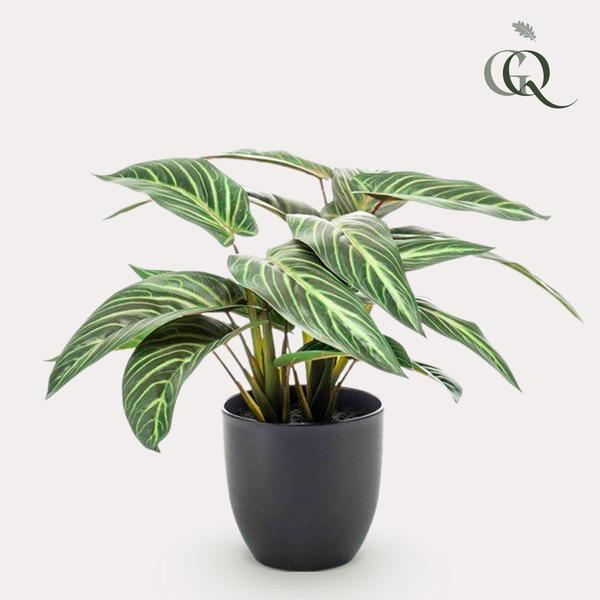 Kunstpflanze – Calathea Zebrina – 38 cm