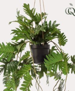 Kunstpflanze – Philodendron – 80 cm