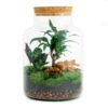 DIY Terrarium – Milky Palm – ↕ 30 cm – Ø 21 cm