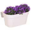 Campanula Addenda Ambella Intensives Violett – Balkonpflanzer weiß mit 3 Campanula-Töpfen Größe 12cm – Inkl. Aufhängesystem – Glockenblume violett – Stauden – Gartenpflanzen