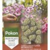 Terras Balkon Planten Voedingskegels / Pokon Terras & Balkon Pflanzen Nährstoffkegel – 10x