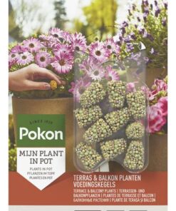 Terras Balkon Planten Voedingskegels / Pokon Terras & Balkon Pflanzen Nährstoffkegel – 10x