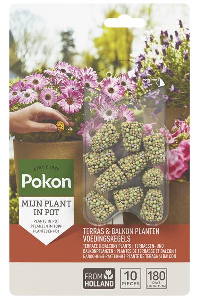 Terras Balkon Planten Voedingskegels / Pokon Terras & Balkon Pflanzen Nährstoffkegel – 10x