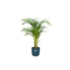 Combi deal – Areca palm inclusief elho Vibes Fold Round blauw Ø30 – 140 cm