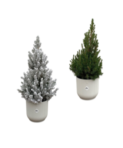 Kerstboom + Kerstboom met sneeuw inclusief elho Vibes Fold Round wit Ø22 – 60 cm