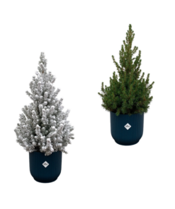 Kerstboom + Kerstboom met sneeuw inclusief elho Vibes Fold Round blauw Ø22 – 60 cm