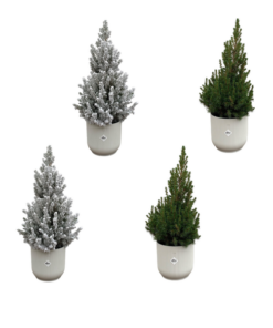 2x Kerstboom + 2x Kerstboom met sneeuw inclusief elho Vibes Fold Round wit Ø22 – 60 cm