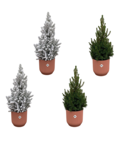 2x Kerstboom + 2x Kerstboom met sneeuw inclusief elho Vibes Fold Round roze Ø22 – 60 cm