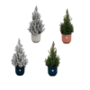 2x Kerstboom + 2x Kerstboom met sneeuw inclusief elho Vibes Fold Round kleurenmix Ø22 – 60 cm