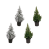 Kerstboom pakket – 2x Picea + 2x Picea met sneeuw – 60 cm