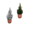 Kerstboom + Kerstboom met sneeuw inclusief elho Vibes Fold Round roze Ø22 – 60 cm