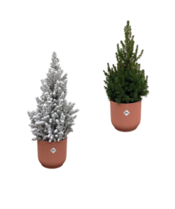 Kerstboom + Kerstboom met sneeuw inclusief elho Vibes Fold Round roze Ø22 – 60 cm