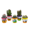 Kakteenmischung 5,5 cm – 5x – in Mexicaanse pot